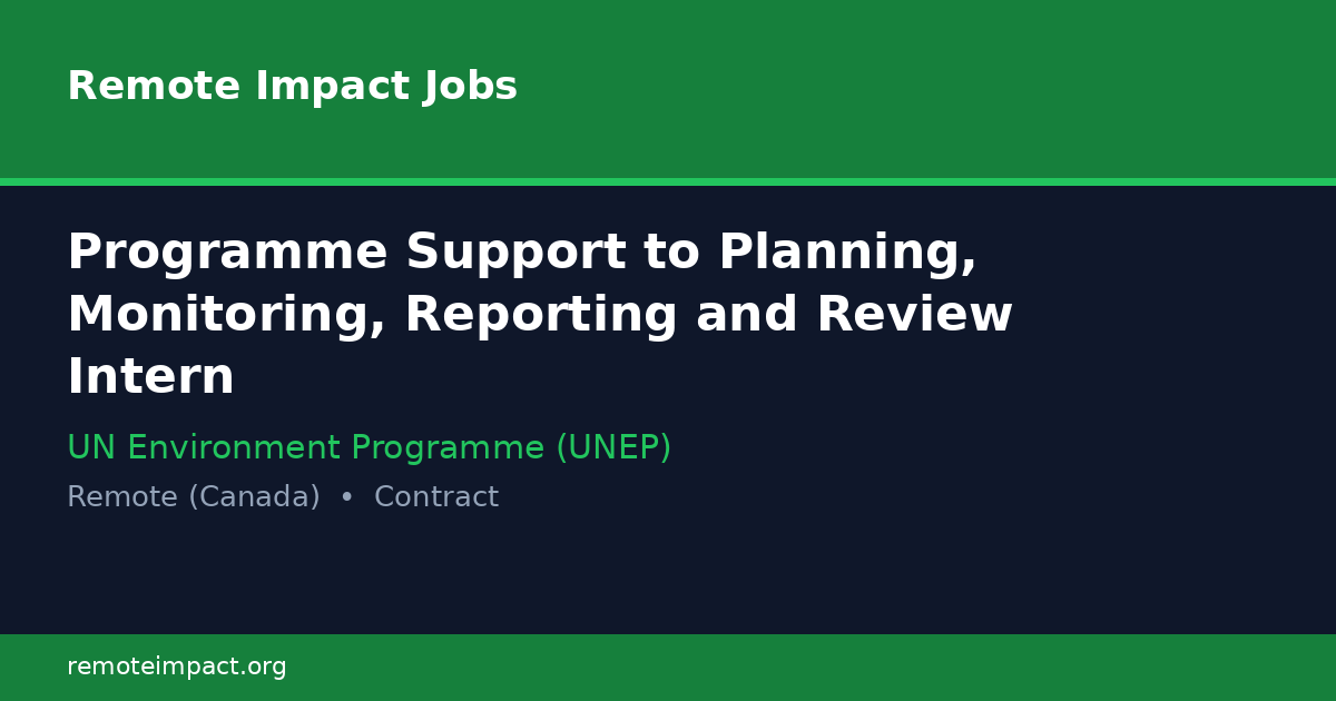 Programme Support to Planning, Monitoring, Reporting and Review Intern ...
