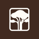 Cambium