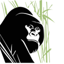 Gorilla Doctors (MGVP, Inc.)