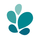 Open Path Psychotherapy Collective