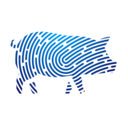 Welfare Footprint Institute